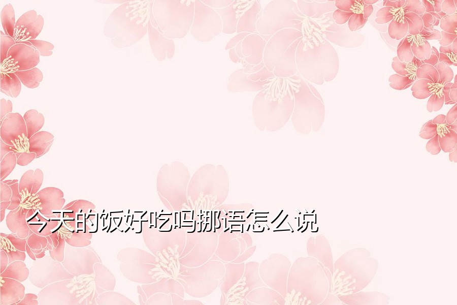 今天的饭好吃吗挪语怎么说