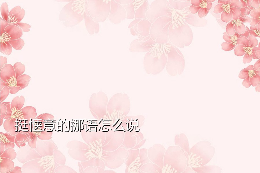 挺惬意的挪语怎么说